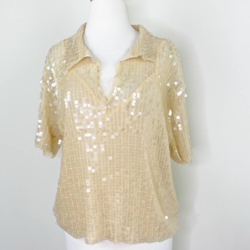 Chic sequin top / cool collar shirt